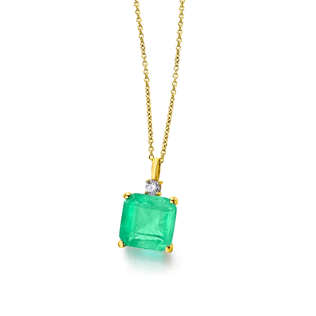 CADENA + PENJOLL GREEN LOVE