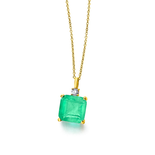 CADENA + PENJOLL GREEN LOVE