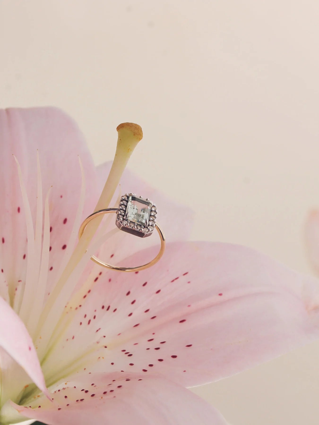 Anillo FLAME 45
