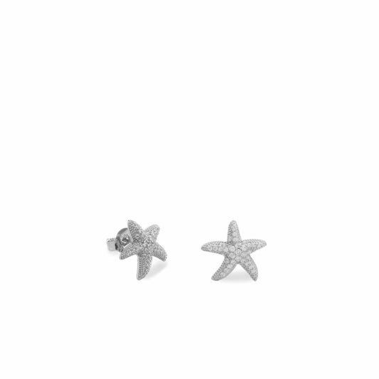 Small silver earrings with starfish motif